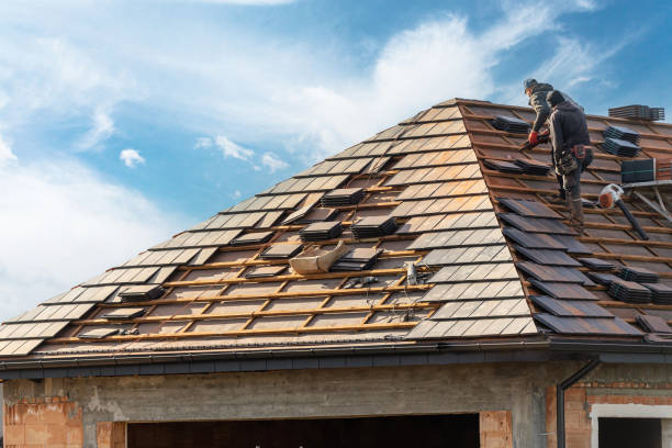 Best Roofing for New Construction  in Windber, PA